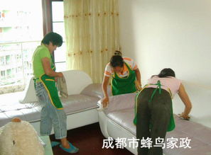 雙流保潔公司 專業清洗油煙機，守護廚房健康環境